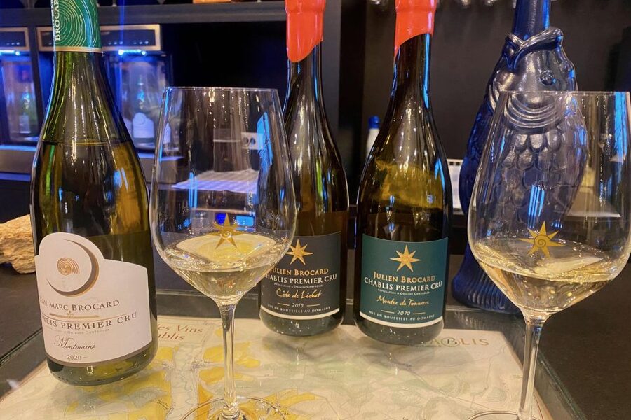 15 Burgundy Wines Chateau Pommard, Chablis Small-Group - Who will enjoy this demanding wine day