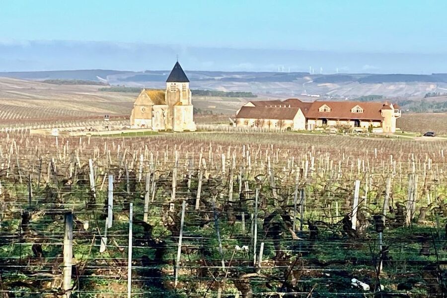 15 Burgundy Wines Chateau Pommard, Chablis Small-Group - Three domaines, 15 wines, one very long day