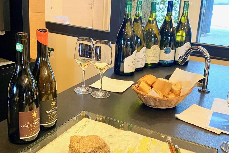 15 Burgundy Wines Chateau Pommard, Chablis Small-Group - Château de Pommard and the wider Burgundy picture