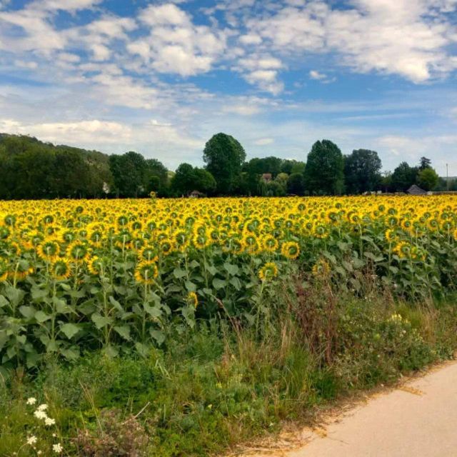 Bike tour from Vernon to Giverny with local guide - Practical tips for a smooth day