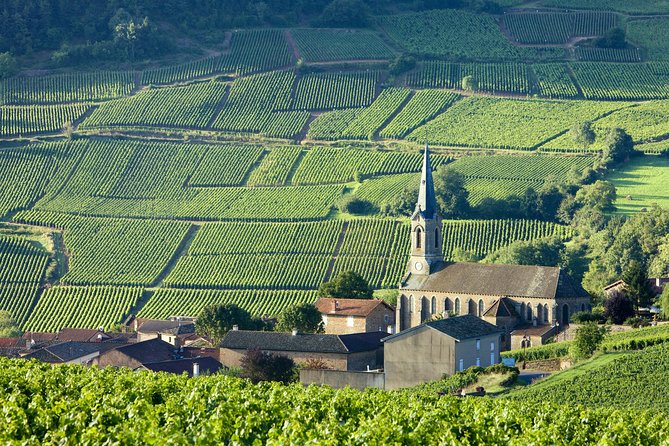 Burgundy Wine Tasting Small-Group Tour in Chablis from Paris - The road south into Burgundy
