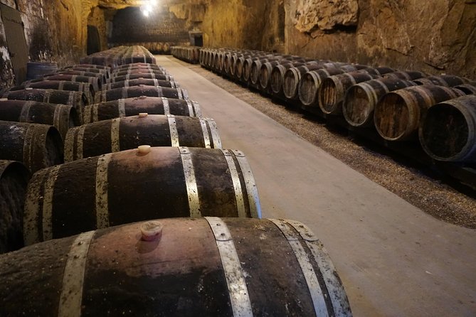 Burgundy Wine Tasting Small-Group Tour in Chablis from Paris - Is $284.31 a fair price?