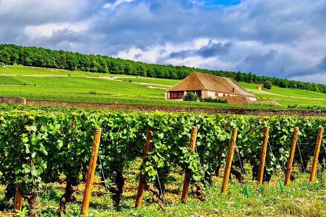 Chablis 20 Exquisite Wines Tasting Trip in Small-Group from Paris - Why Chablis makes a good day trip from Paris
