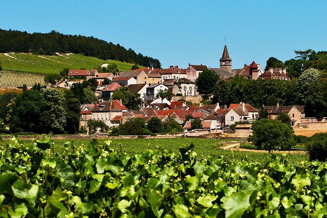 Chablis 20 Exquisite Wines Tasting Trip in Small-Group from Paris - A local producer and time in Chablis village