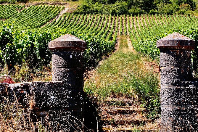 Chablis 20 Exquisite Wines Tasting Trip in Small-Group from Paris - How the guides affect the day