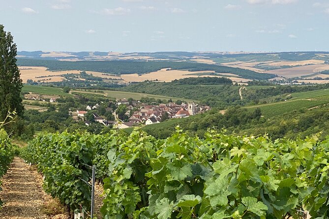 Chablis and Burgundy Wine Tour Run by Sommelier with Lunch - The sommelier makes the difference