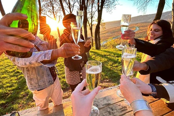 Champagne and Reims Tasting Day Trip from Paris - Hautvillers, vines, and the Dom Pérignon connection