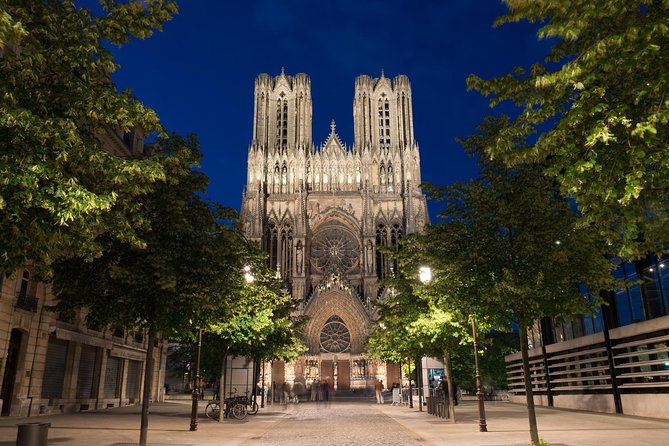 Champagne and Reims Tasting Day Trip from Paris - Vineyard views in the Montagne de Reims