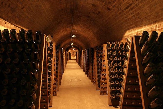 Champagne and Reims Tasting Day Trip from Paris - What the guides add to the day