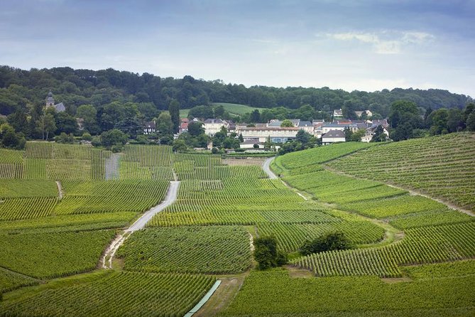 Champagne Region Private Day Trip from Paris - Key points to know before booking