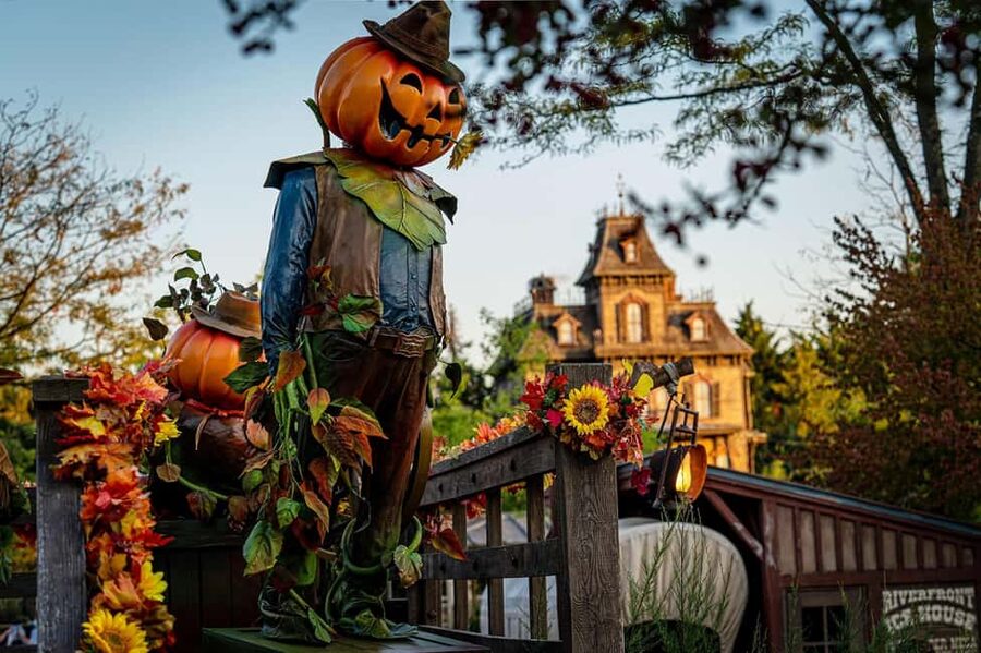 Disneyland® Paris Tickets and Shuttle Transport - Key points to know before booking
