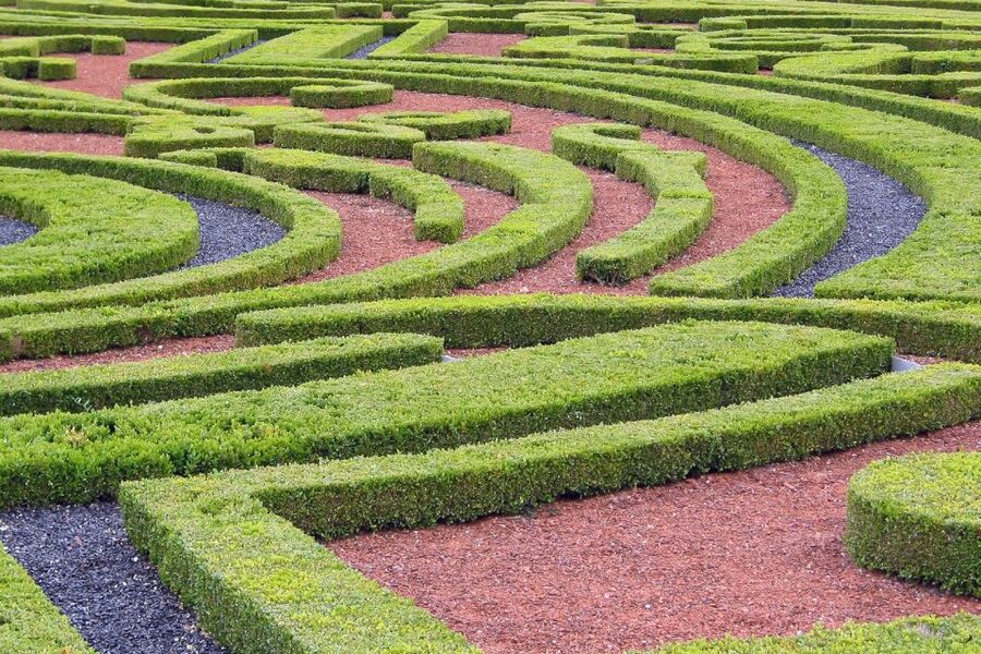 Fontainebleau & Vaux-le-Vicomte Châteaux Day Tour from Paris - Who should book this day trip?