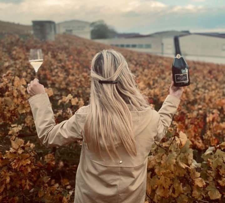 From Paris: Champagne Day Trip with 7 Tastings and Lunch - A two-course lunch paired with Champagne