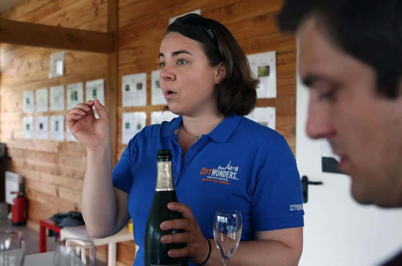 From Paris: Champagne Day Trip with 7 Tastings and Lunch - The family estate and the smaller-scale view