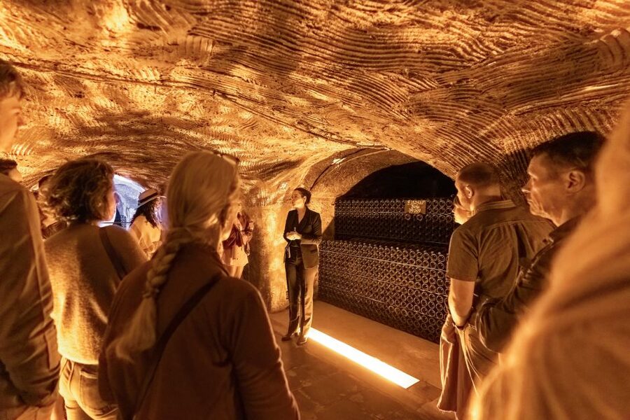 From Paris: Day Trip to Champagne with 8 Tastings & Lunch - Who should book this day trip