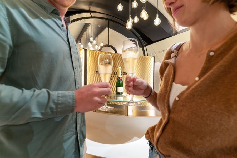 From Paris: Day Trip to Champagne with 8 Tastings & Lunch - The smaller estate or cooperative visit