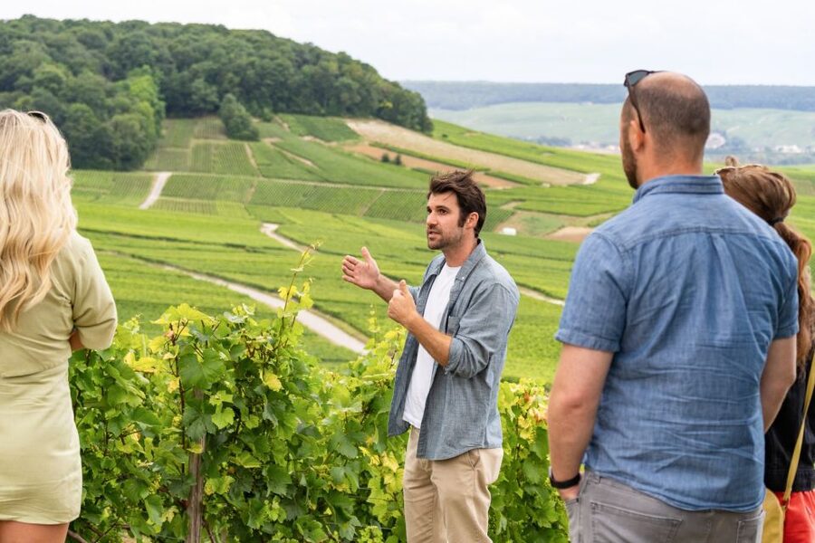 From Paris: Day Trip to Champagne with 8 Tastings & Lunch - What the guides add