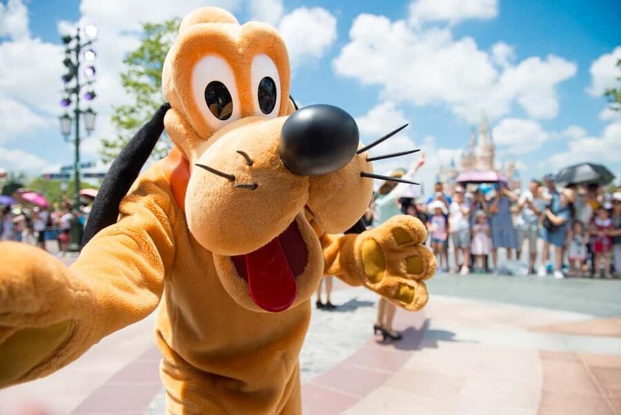 From Paris: Disneyland 1-Day Ticket & Private Transfer - From Paris to Disney without the transport headache