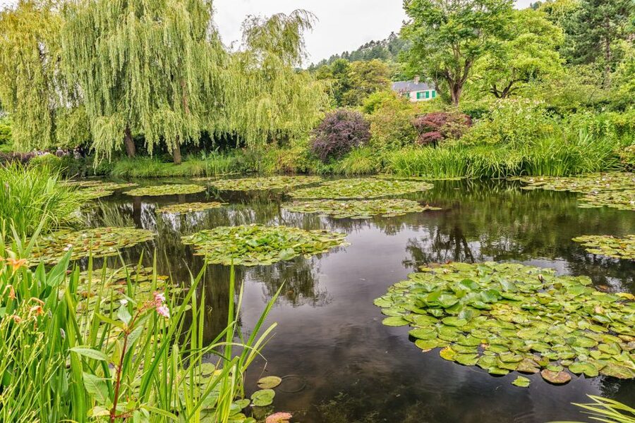 From Paris: Guided Day Trip to Monet's Garden in Giverny - Entering Monet’s Water Garden before the crowds