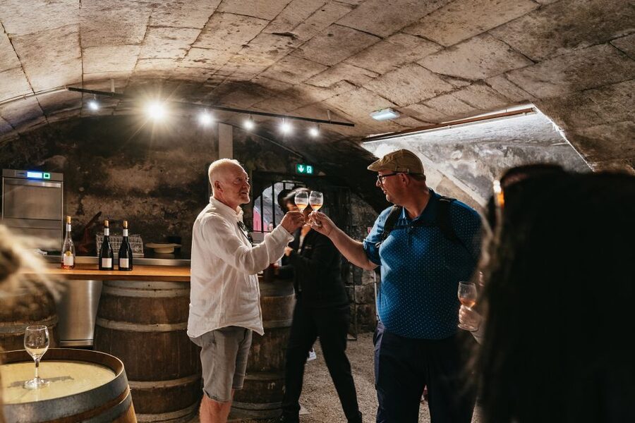 From Paris: Loire Valley Castles Day Trip With Wine Tasting - What the $104 price buys you
