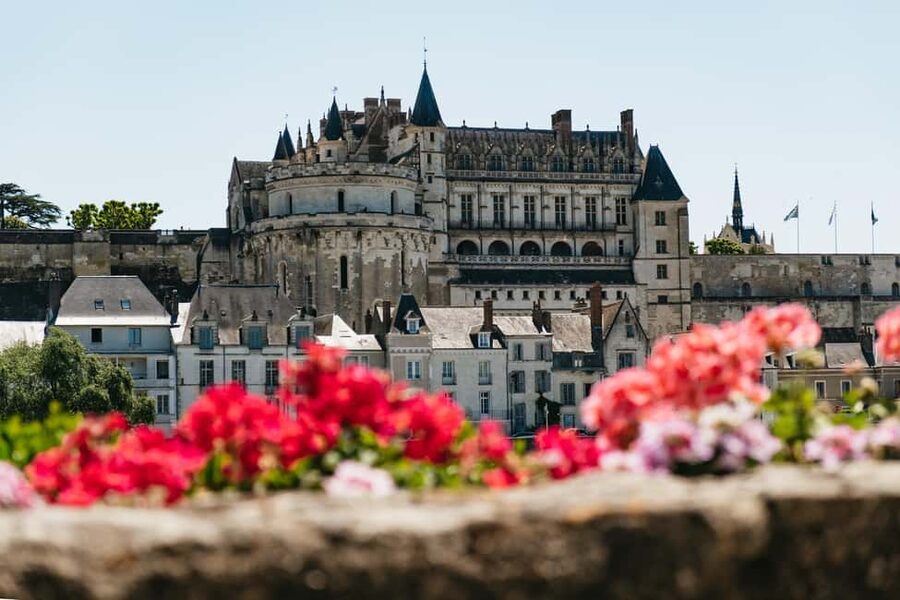 From Paris: Loire Valley Chambord Castle and Wine Tasting - Who should book this Loire Valley day trip?