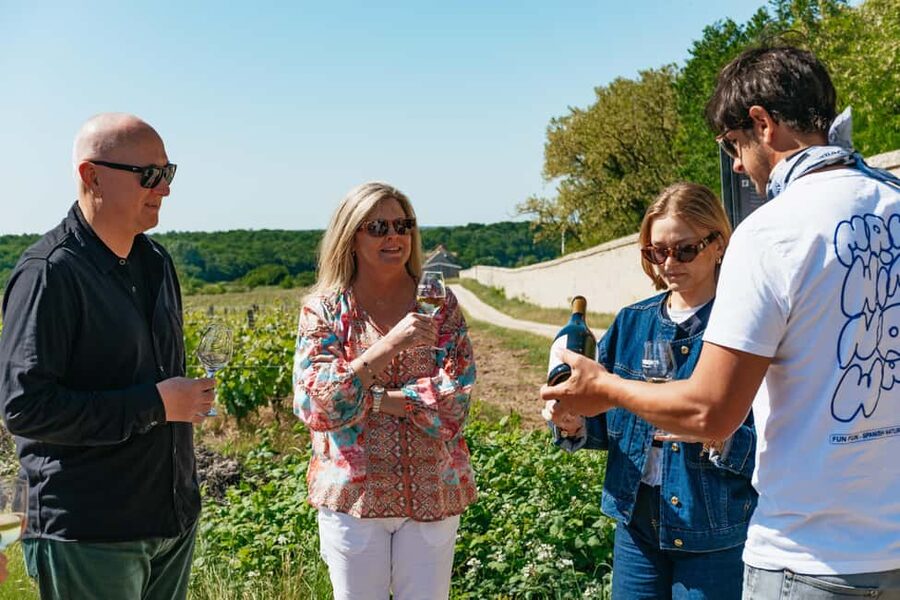 From Paris: Loire Valley Chambord Castle and Wine Tasting - The two-hour ride from Paris