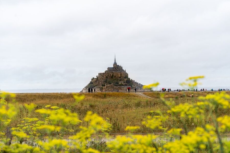 From Paris: Mont Saint Michel Day Trip with a Guide - What the guides add