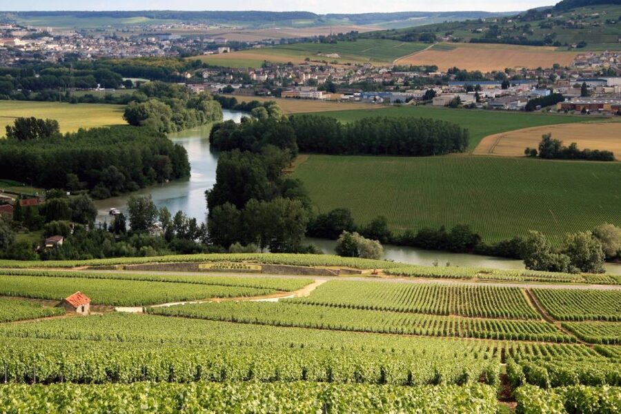 From Paris: Private Champagne Tour, Tastings at Moet&Chandon - Who should book this day?