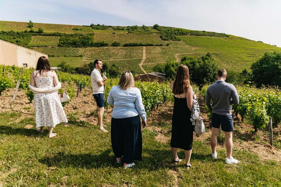 From Paris: Private Sancerre Wine Tour w 10 Tastings & Lunch - Family-run wineries and cellar visits