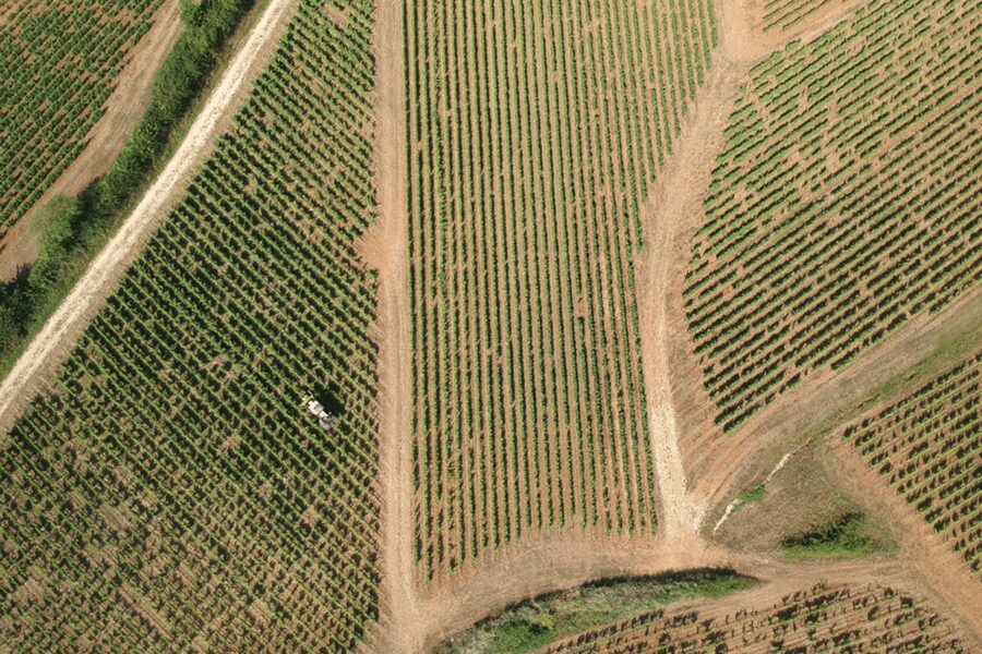 From Paris: Private Sancerre Wine Tour w 10 Tastings & Lunch - What the $970 price includes