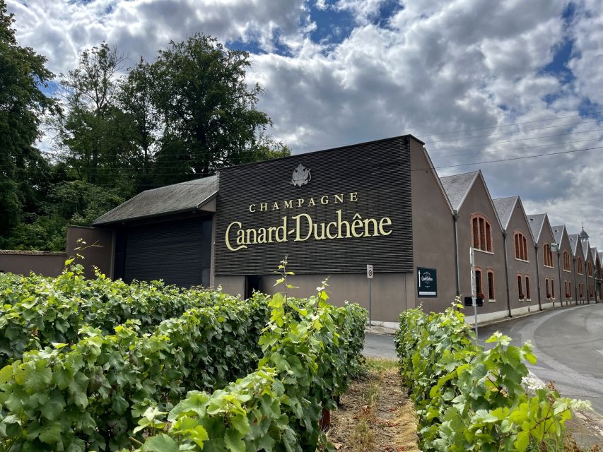 From Paris: Reims and Champagne Tasting Full-Day Tour - A blind tasting beside the vineyards