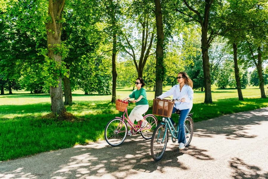 From Paris: Skip-the-Line Palace of Versailles Bike Tour - Why a bike makes Versailles easier to understand