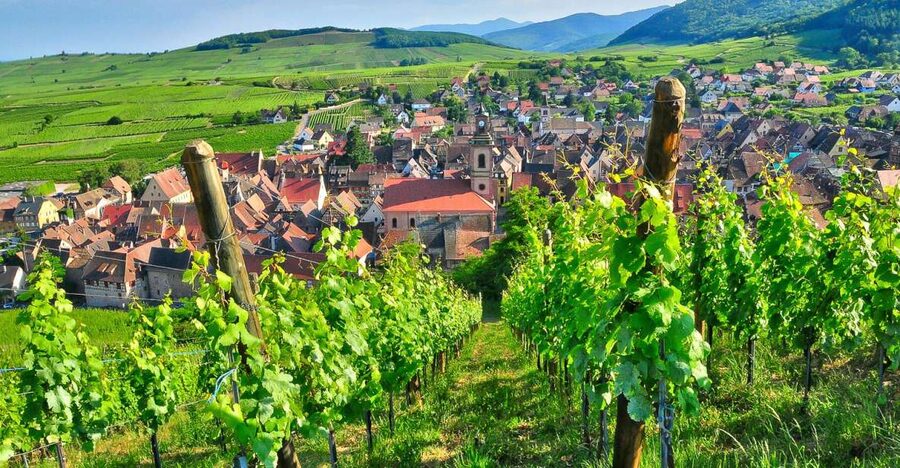 From Paris: Small-Group Champagne Day Trip with Six Tastings - Key points to know before you book