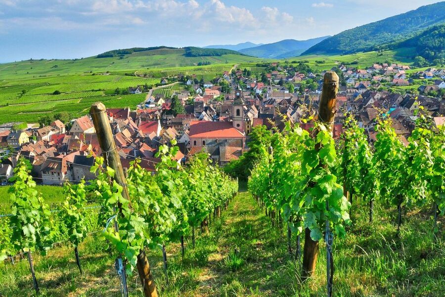 From Paris: Small-Group Champagne Day Trip with Six Tastings - Nicolas Feuillatte and the large-scale view