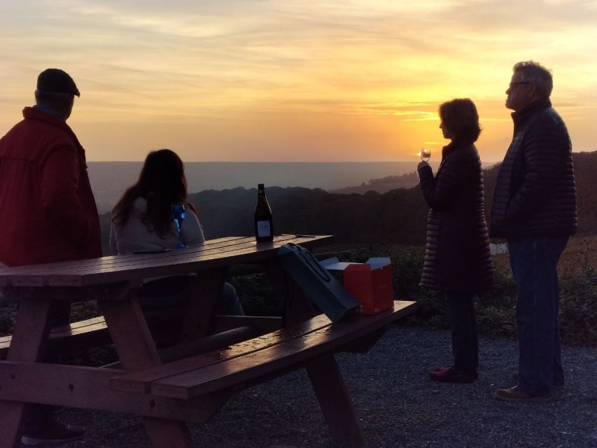From Paris: Small-Group Champagne Tour with 3-Course Lunch - The guides and the pace of the day