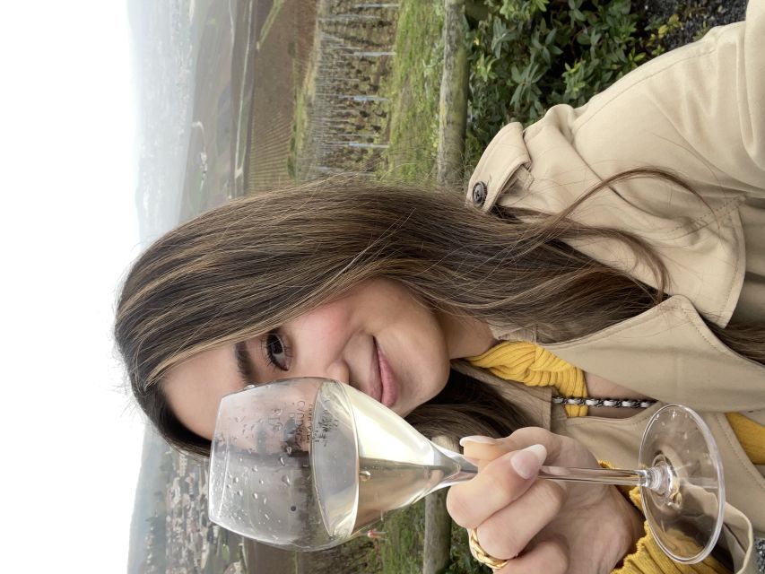 From Paris: Small-Group Champagne Tour with 3-Course Lunch - What the $411 price includes