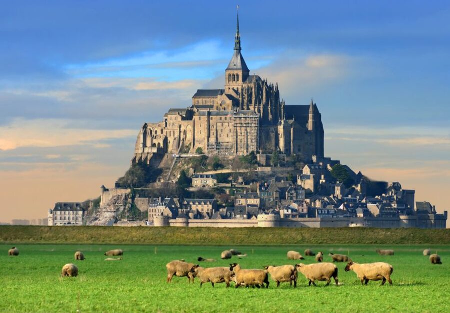 From Paris: Small-Group Mont St Michel Tour & Cider Tasting - The return to Paris and the real value of $259