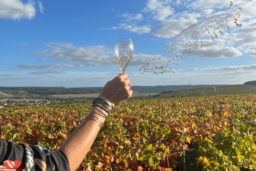 From Paris: Wine Day trip to SANCERRE w 10 Tastings & Lunch - Should you book it?
