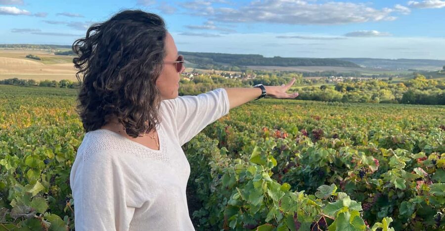 From Paris: Wine Day trip to SANCERRE w 10 Tastings & Lunch - Why Sancerre makes a worthwhile day from Paris