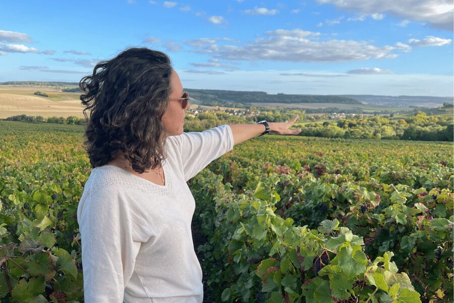 From Paris: Wine Day trip to SANCERRE w 10 Tastings & Lunch - First winery visits and the three Sancerre soils
