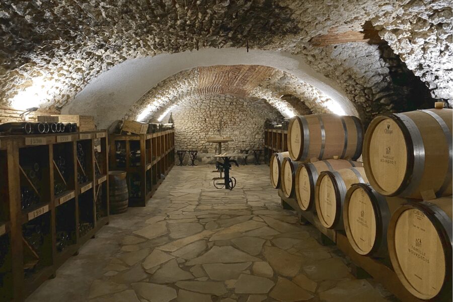 From Paris: Wine Day trip to SANCERRE w 10 Tastings & Lunch - Lunch with wine and Crottin de Chavignol