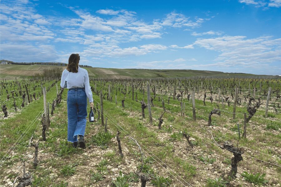 From Paris: Wine Day trip to SANCERRE w 10 Tastings & Lunch - What the small group changes