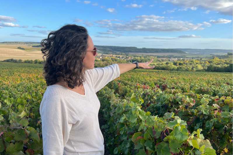 From Paris: Wine Day trip to SANCERRE w 10 Tastings & Lunch - The morning ride from Paris