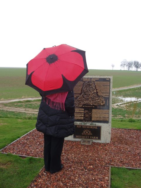 From Paris: WWI Somme Battlefields Full-Day Tour - Delville Wood, Pozières, and Mametz Wood