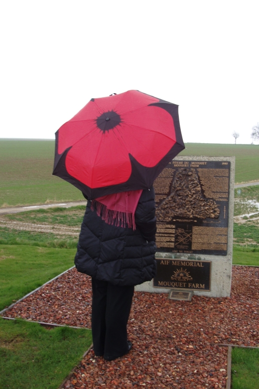 From Paris: WWI Somme Battlefields Full-Day Tour - Memorials, cemeteries, and the human cost