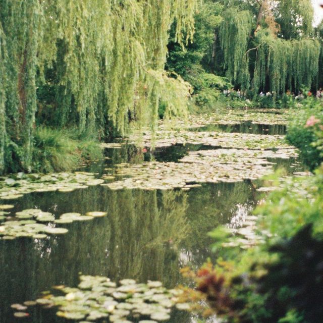 Giverny : Monet's house & Gardens Private tour from Paris - What private guiding adds