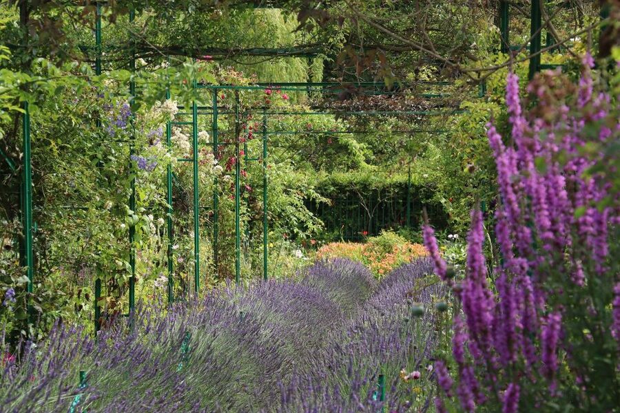 Giverny Private Guided Walking Tour - The garden as a working studio