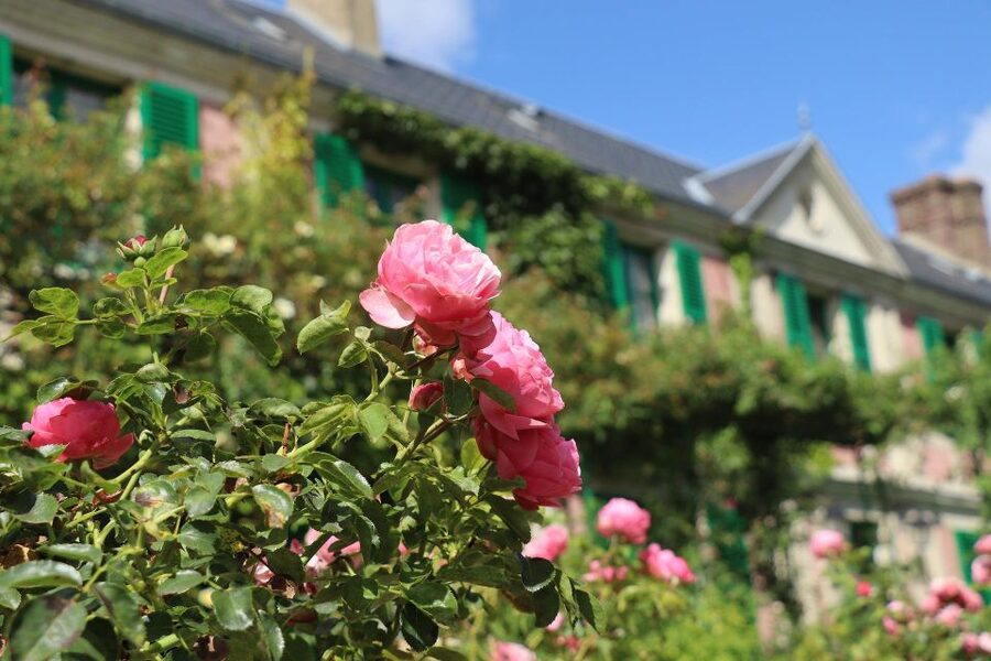 Giverny Private Guided Walking Tour - Meeting at 84 Rue Claude Monet