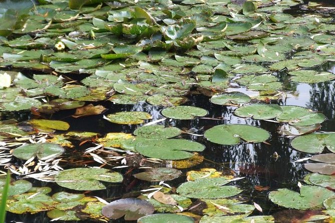 Giverny Small-Group Minivan with Hotel Pickup or Meeting Point - Who should book this Giverny outing?