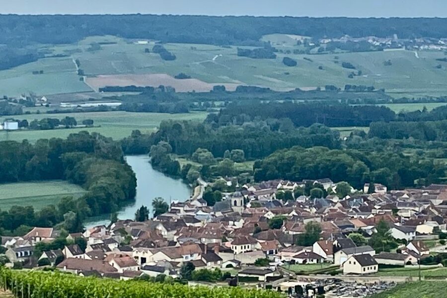 Grand Vintage Private Champagne Moet Chandon Veuve Clicquot - Lunch and a walk through Épernay